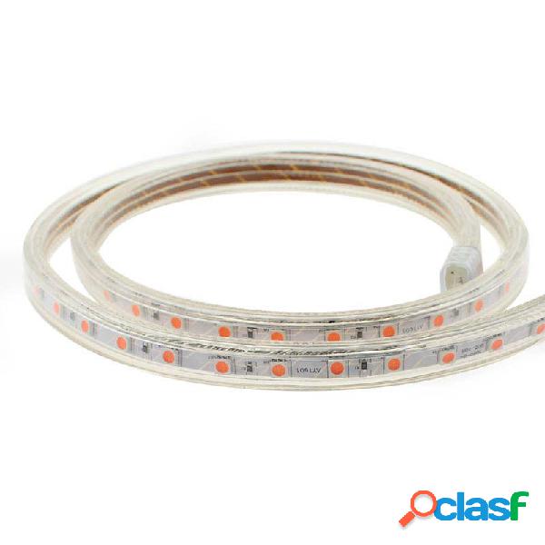 Tira led 220v smd5050 60led/m 1 metro pink rosa/magenta