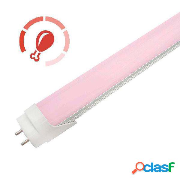 Tubo led t8 especial carnicerias 22w 150cm rosa/magenta