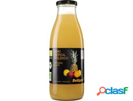 Zumo Tropical Bio DELIZUM (1 L)