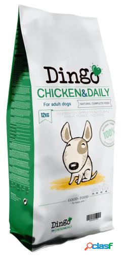 2x500 GR Dingo Pienso Chicken & Daily para Perros Adultos