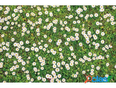 Alfombra OEDIM Estampado Margaritas (Multicolor - 40x80cm -