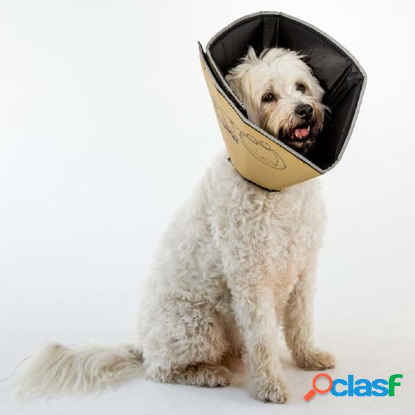 All Four Paws Collar electrónico mascotas Comfy Cone largo