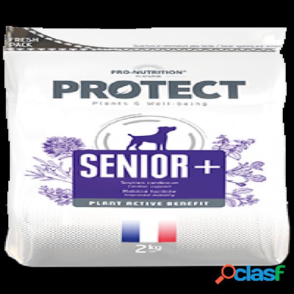 Flatazor Protect Senior + 2 kg
