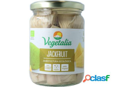 Jackfruit Ecológico VEGETALIA (500 g)