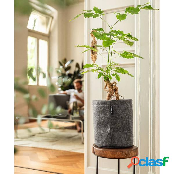 LECHUZA Jardinera TRENDCOVER 23 Felt TODO EN UNO gris oscuro