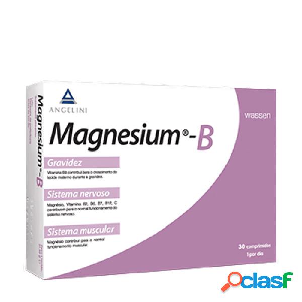 Magnesio B Tabletas x30