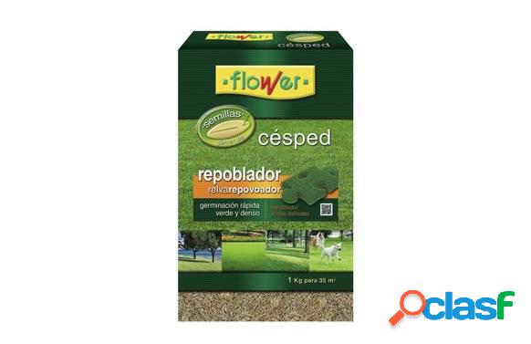 Semillas Cesped Repoblador 1 Kg