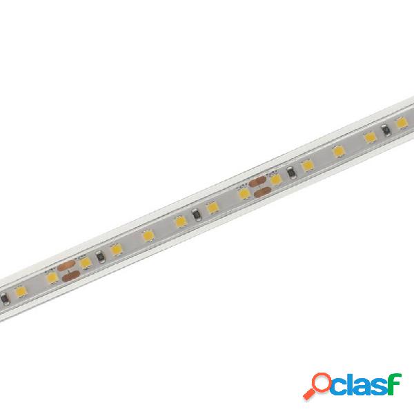 Tira led monocolor osram smd2835 dc24v 1 metro (120led/m)