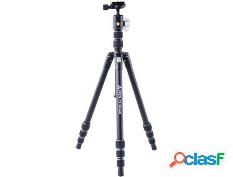 Trípode VANGUARD Vesta TB 204AB (Bola - Aluminio)