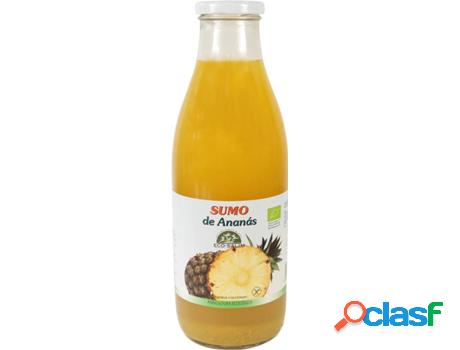 Zumo de Piña Eco ECO SALIM (200 ml)