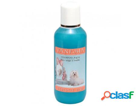 Champu SAN BERNARD De Perros Algas Vanesia A (10 Ltrs)