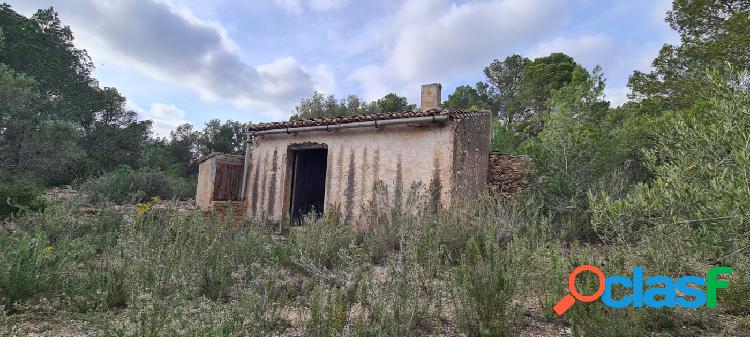 Finca Rústica de 50.000 M2, con caseta de campo a