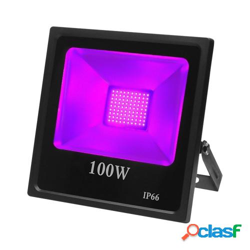 Luz ultravioleta LED Proyector ultravioleta Etapa Lámpara
