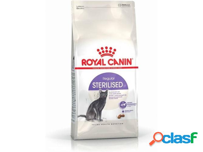 Pienso para Gatos ROYAL CANIN (10Kg - Seco - Adulto -