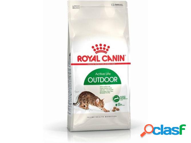 Pienso para Gatos ROYAL CANIN (2Kg - Seco - Adulto)