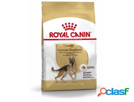 Pienso para Perros ROYAL CANIN (11Kg - Seco - Pastor Alemán