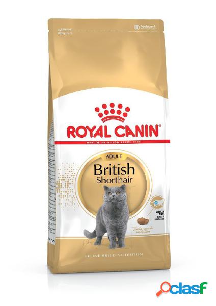 Royal Canin British Shorthair Adult 10 kg