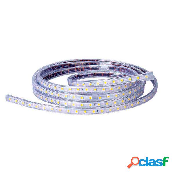 Tira led 220v smd5050 60led/m 1 metro blanco cálido