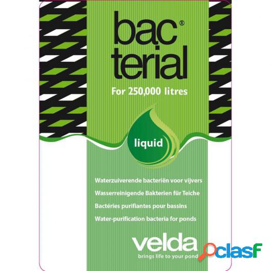 Velda Equilibrio bacteriano para estanques líquido 2500 ml
