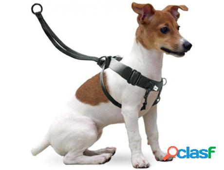 Arnés de Formación para Perros GLOBAL Easy Walker (Negro -