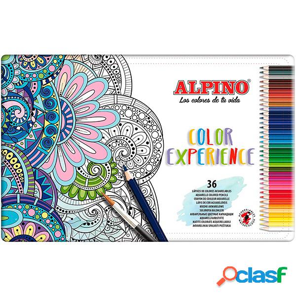 Caja 36 L?pices de Colores Color Experience