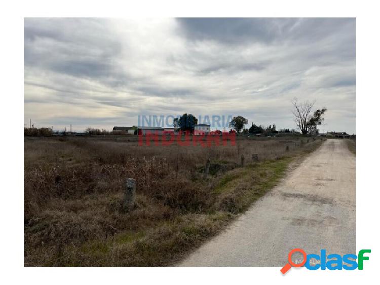 Casa de campo-Masía en Venta en Casatejada Cáceres Ref: