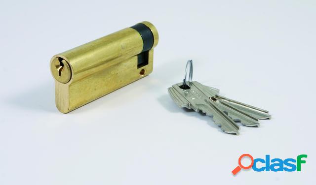 Cilindro estándar TE-5 Tesa 50303010L