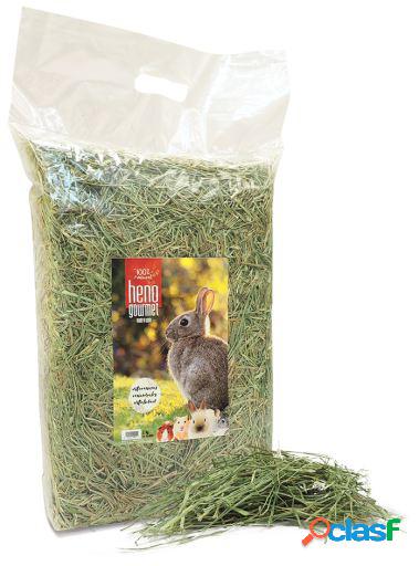 Heno Natural para Roedores 1 Kg Heno Gourmet