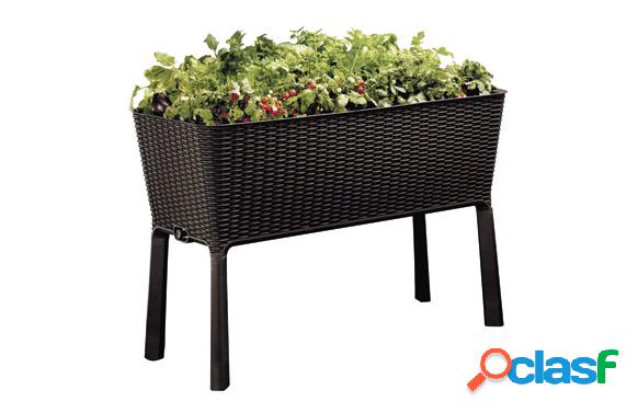 Huerto urbano de polipropileno Keter Easy Grow Ratan