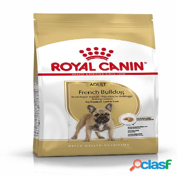 Royal Canin French Bulldog Adult 9 kg