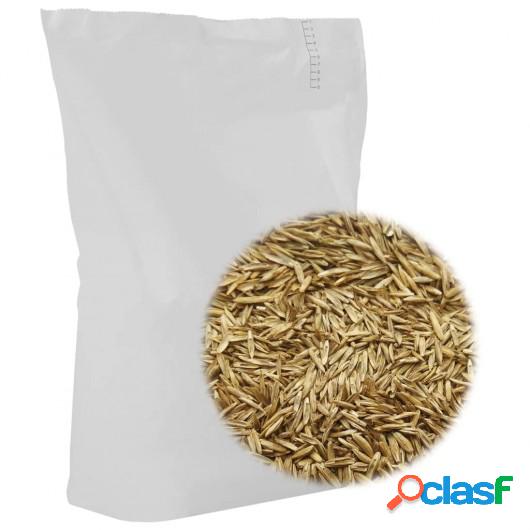 Semillas de césped para campo y pasto 10 kg