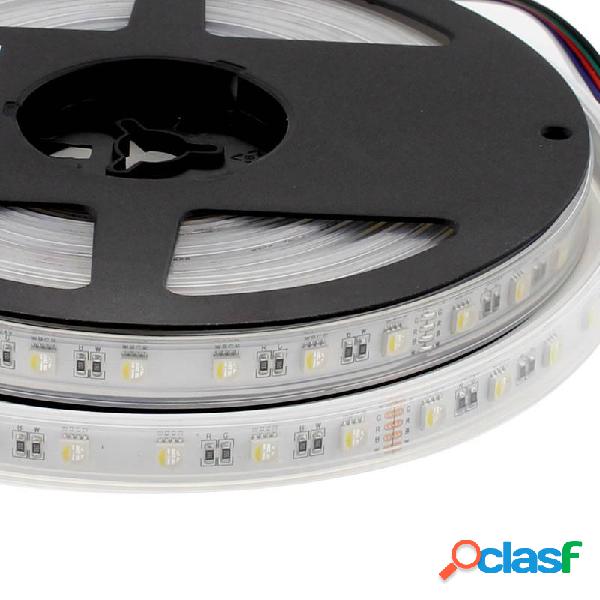Tira led epistar smd5050 rgb+w dc24v 5m (60led/m 4 en 1) -
