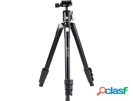 Trípode VANGUARD Vesta FB 204ABS (Bola - Aluminio)