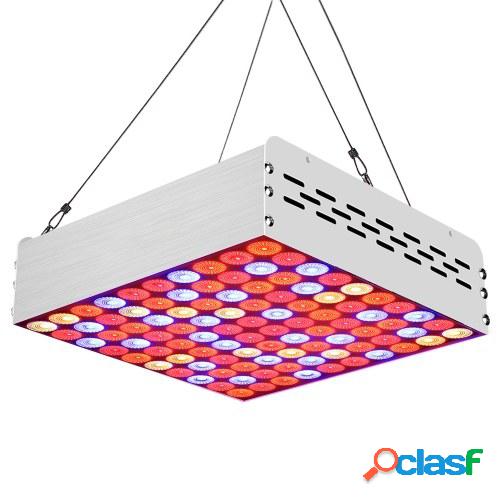 A C85-265V 1000W 100LEDs Planta de espectro completo