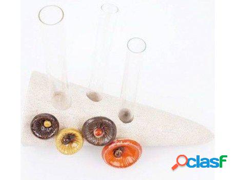 Cerámica HOGAR Y MÁS Portatubo De Natural Con Tre Tubo