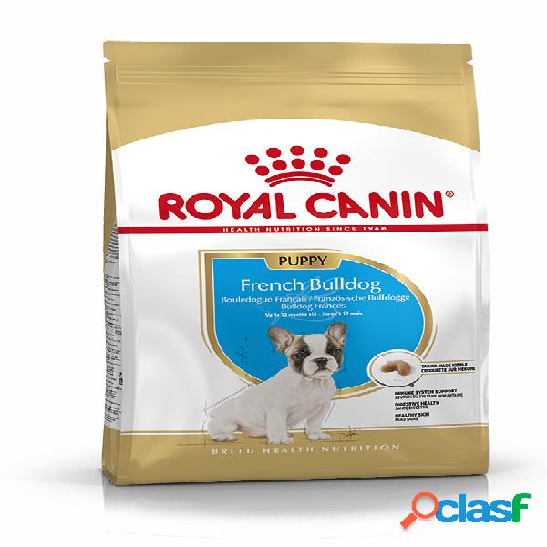 Royal Canin French Bulldog Puppy 3 kg