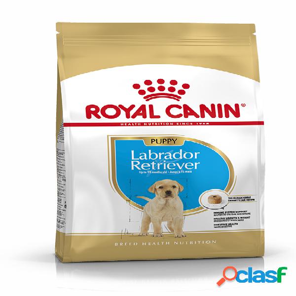 Royal Canin Labrador Retriever Puppy 3 kg