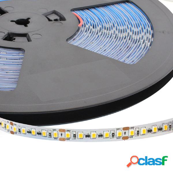Tira led monocolor epistar smd2835 dc24v 20 metros