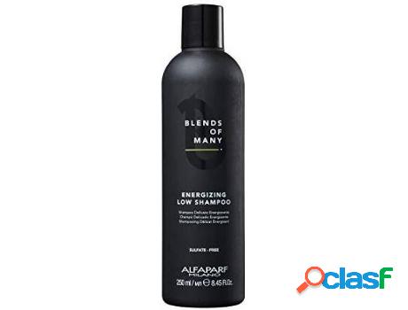 Champú Líquido ALFAPAR Alfaparf Blends Of Many Energizing