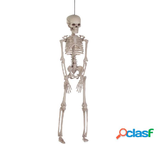 Esqueleto Pequeño de 43 cm