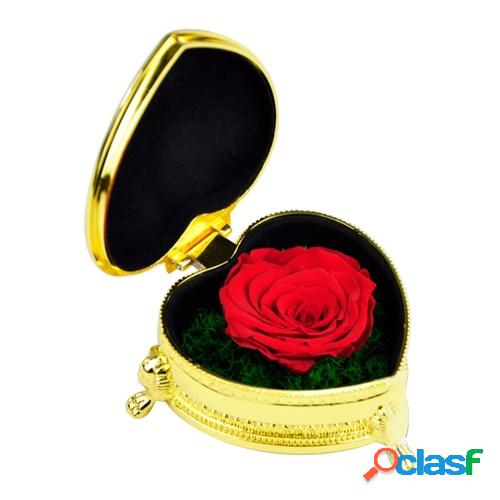 Flor de rosa real preservada en caja de regalo en forma de