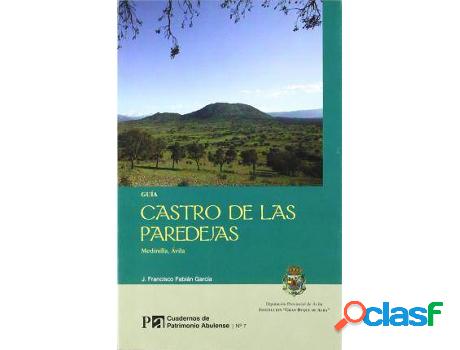 Libro Castro De Las Paredejas. Medinilla, Ávila de José