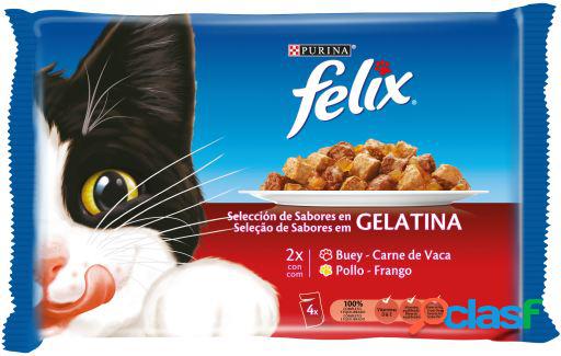 Multipack Surtido de Carnes en Gelatina de Buey y Pollo 4x85