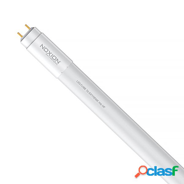 Noxion Avant LED Tubo T8 Extreme (HF) High Output 20W 2800lm