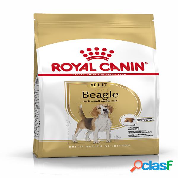 Royal Canin Beagle Adult 12 kg