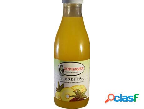 Zumo de Piña INTRACMA (1 L)