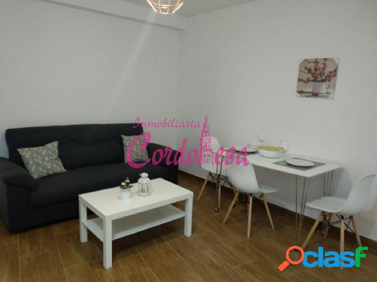 APARTAMENTO REFORMADO JUNTO A TENDILLAS