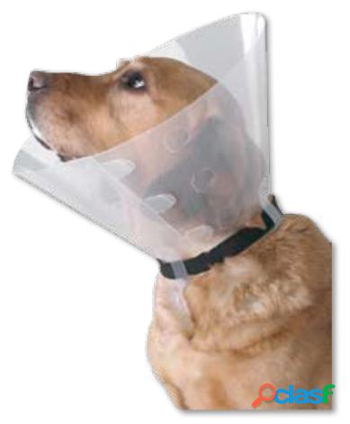 Collarin Buster Click 30 cm Buster
