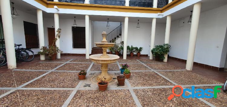 Ideal piso junto a la Plaza de la Magdalena