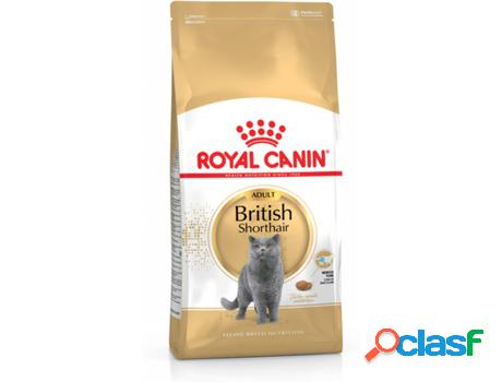 Pienso para Gatos ROYAL CANIN (2Kg - Seco - Shorthair
